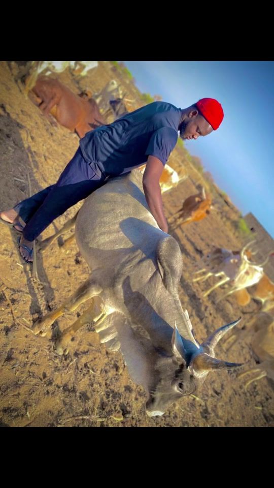 TikTok video thumbnail by salou718