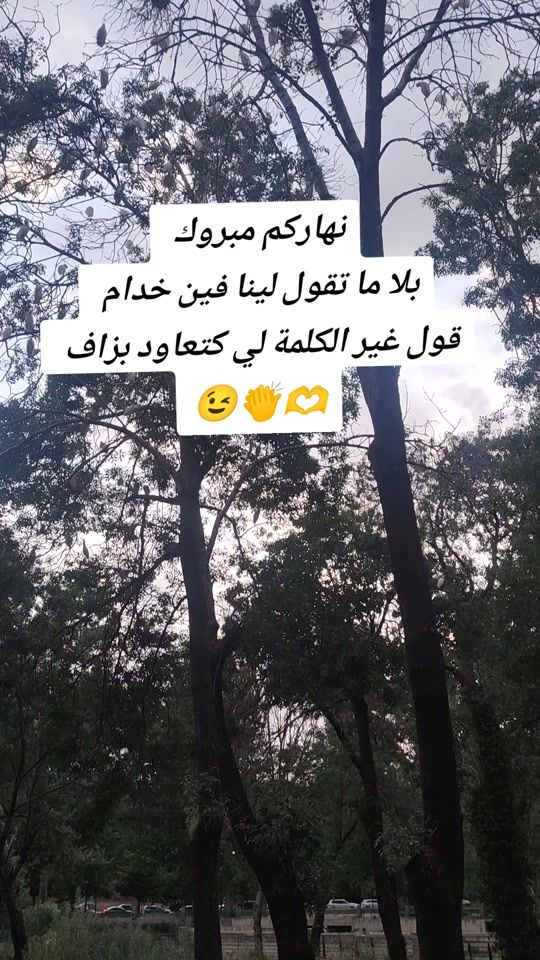 TikTok video thumbnail by weld_lblad1804