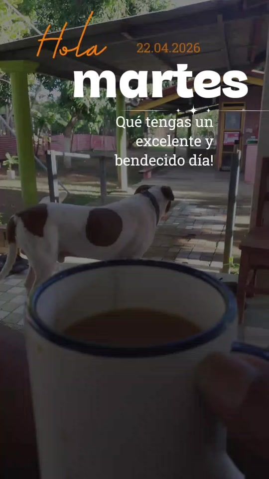 TikTok video thumbnail by rrdm2813