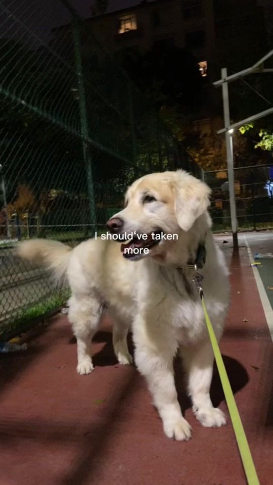 TikTok video thumbnail by durunaymann