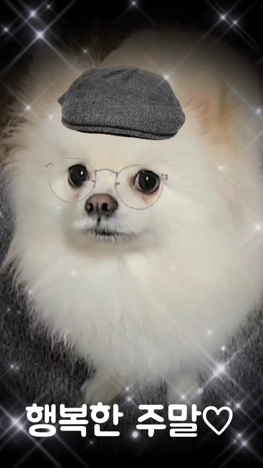 TikTok video thumbnail by user9101011333429