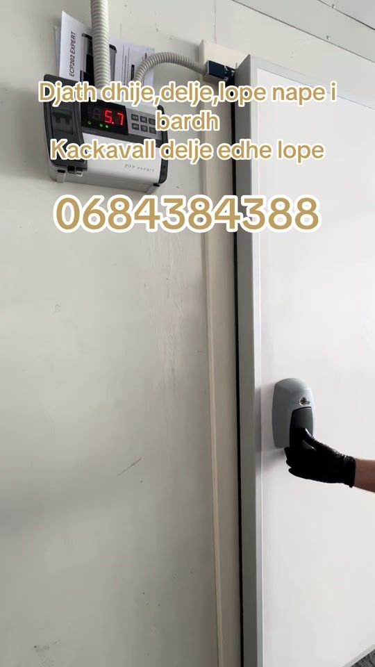 TikTok video thumbnail by sallameri.klevi