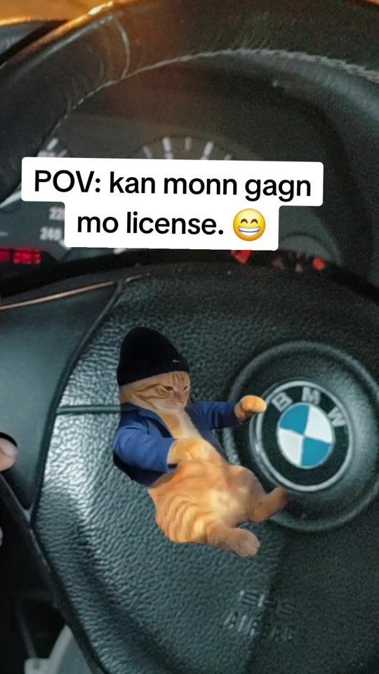 TikTok video thumbnail by siddhii.20