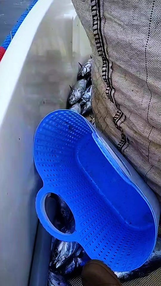 TikTok video thumbnail by hamidfekir11
