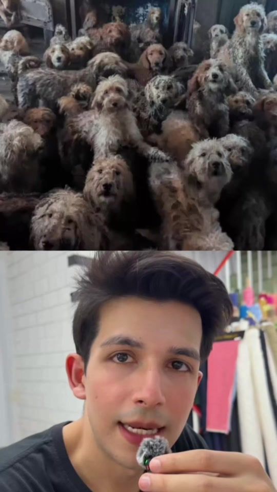 TikTok video thumbnail by aisras_khan