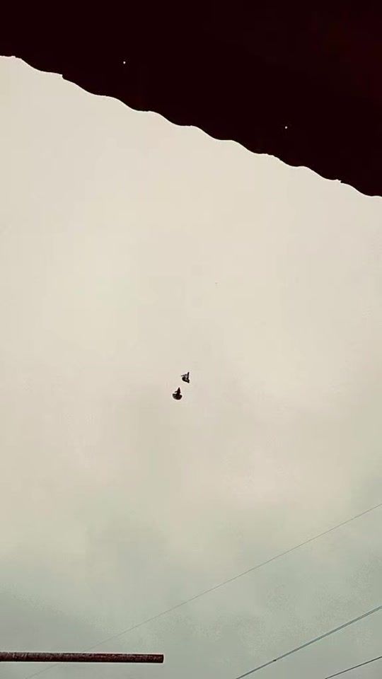 TikTok video thumbnail by v.e.t.e.r.a.n07