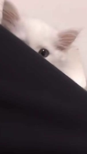 TikTok video thumbnail by ssleeeppzz