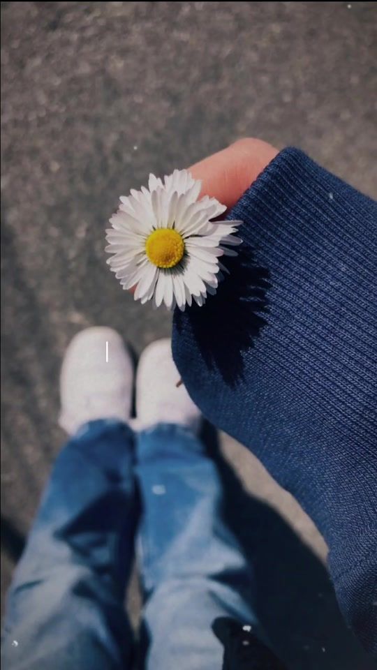 TikTok video thumbnail by amyer0291