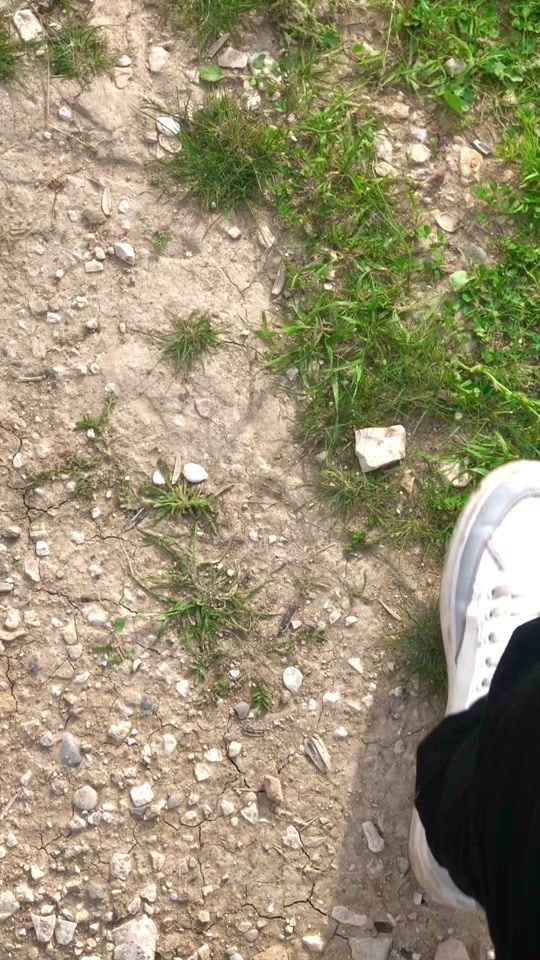 TikTok video thumbnail by samo_slomo
