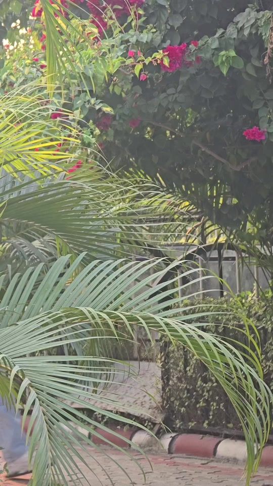 TikTok video thumbnail by _rk_56