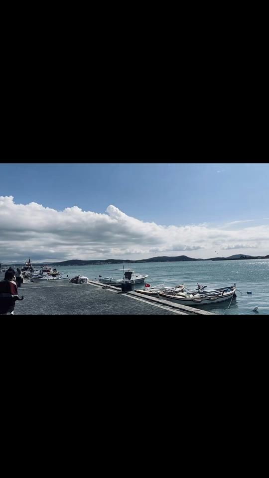 TikTok video thumbnail by summerl1005