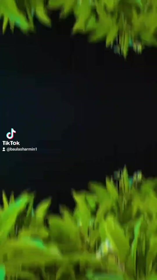TikTok video thumbnail by baulasharmin1