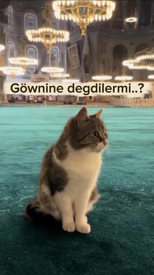 TikTok video thumbnail by allahym33