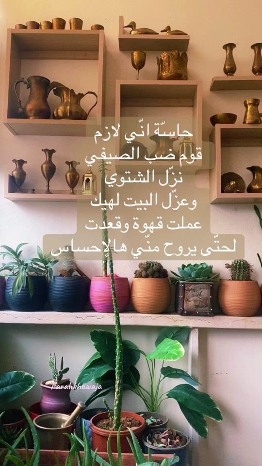 TikTok video thumbnail by farahbkhawaja