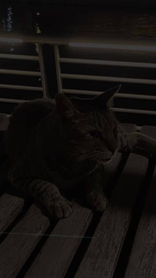 TikTok video thumbnail by queen123f2