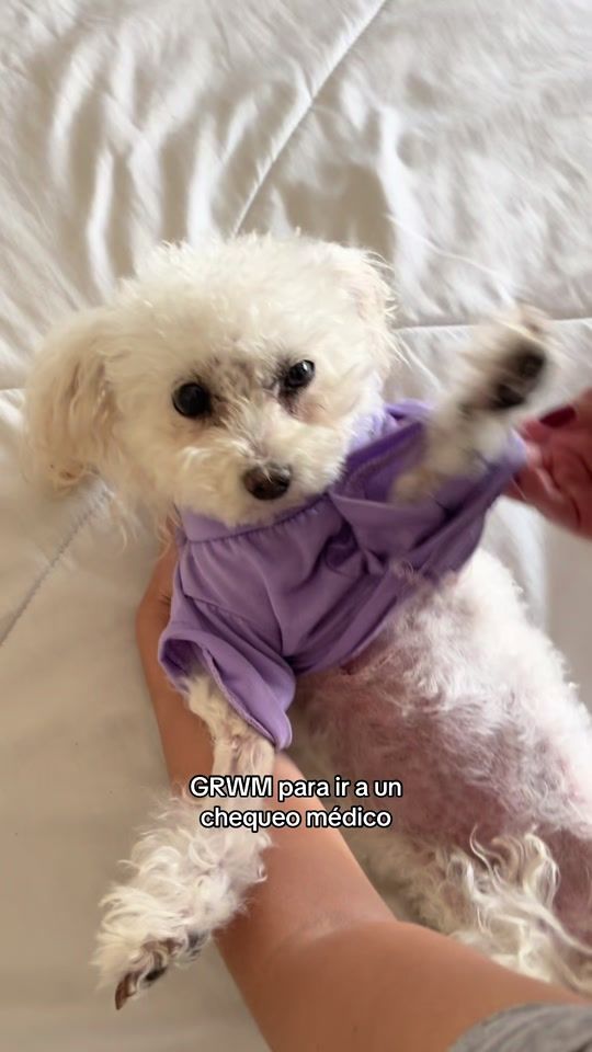 TikTok video thumbnail by giseyolivia