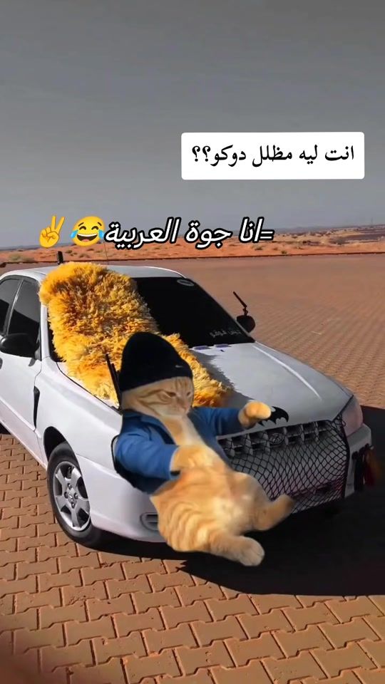 TikTok video thumbnail by muhammad_abd123