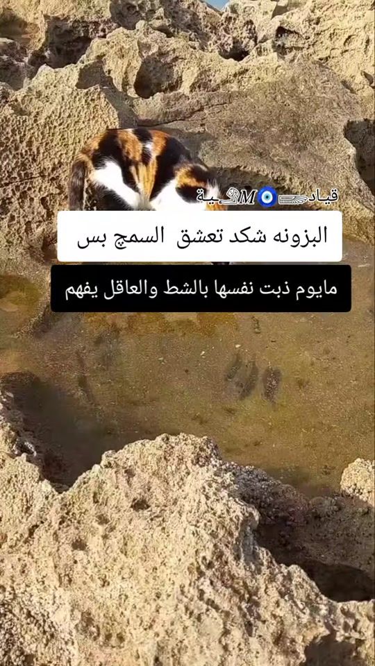 TikTok video thumbnail by 4nb.z_
