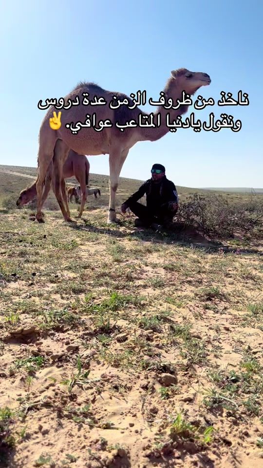 TikTok video thumbnail by 11abobaker22