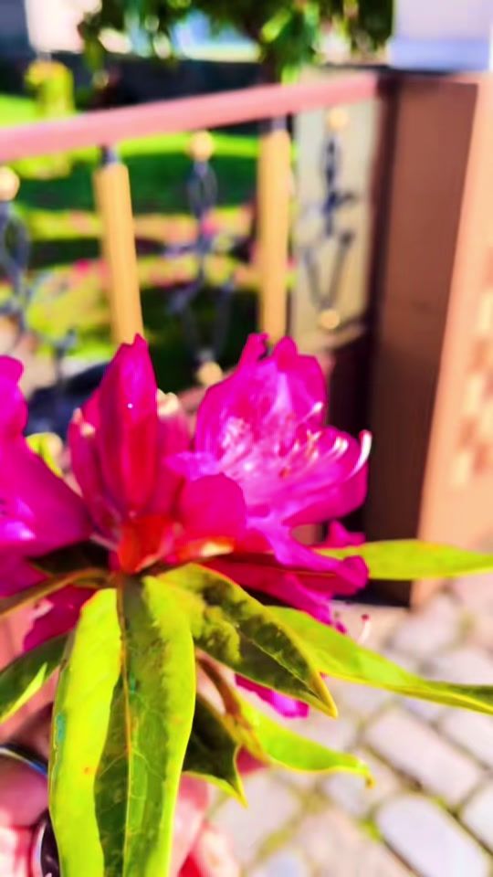 TikTok video thumbnail by anes_kshetry
