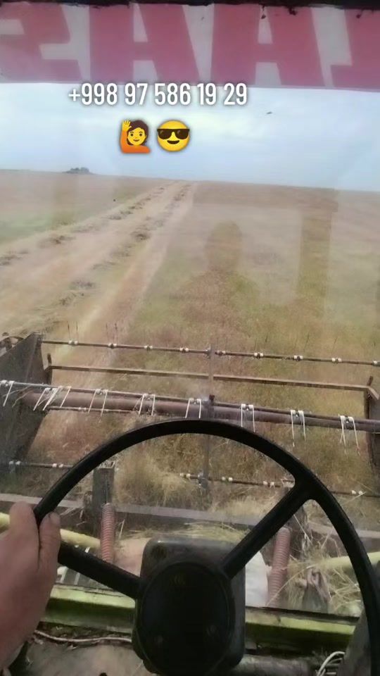 TikTok video thumbnail by suxrob_arab