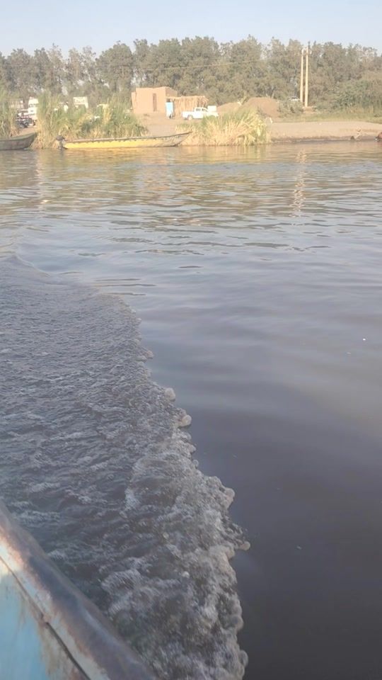 TikTok video thumbnail by user95wadhamed