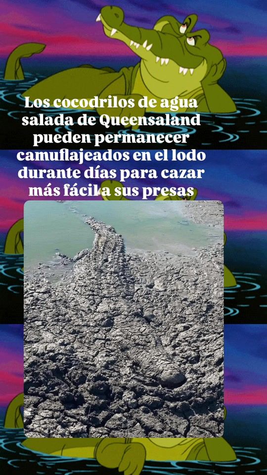 TikTok video thumbnail by datos.perturbamadres