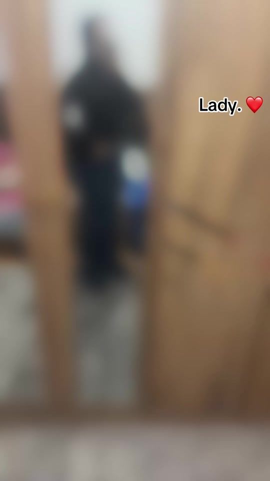 TikTok video thumbnail by mlak_sh123