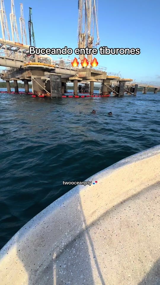 TikTok video thumbnail by eliezercedenospear