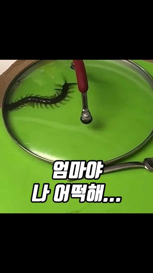TikTok video thumbnail by zigu_humor