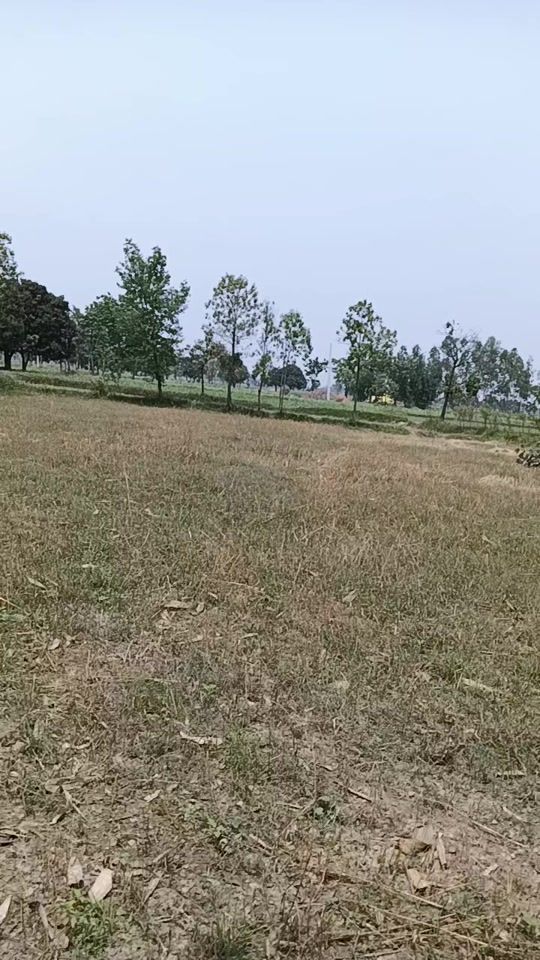 TikTok video thumbnail by raja97971