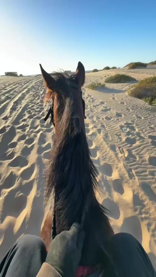 TikTok video thumbnail by m123.a7