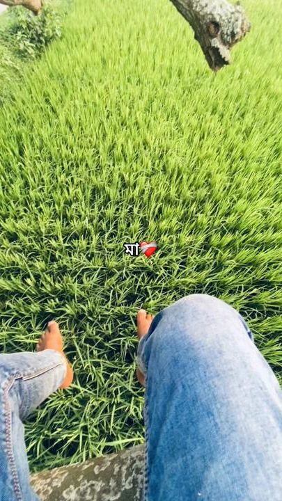 TikTok video thumbnail by rifat_018