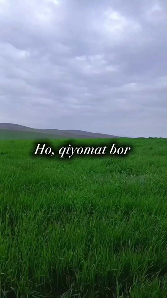 TikTok video thumbnail by a_b_r_o_r_88_89