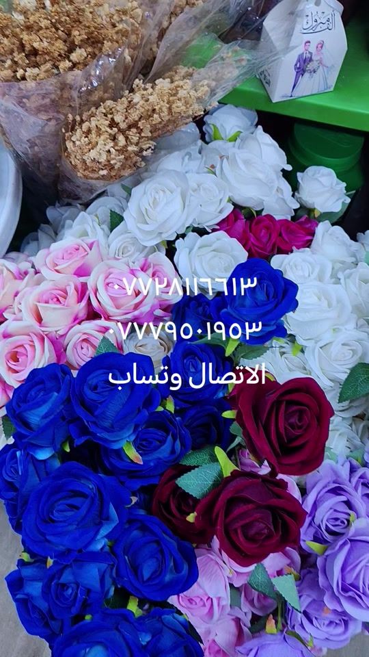 TikTok video thumbnail by roka_cake