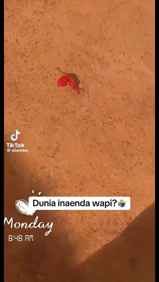 TikTok video thumbnail by ndindybussiness