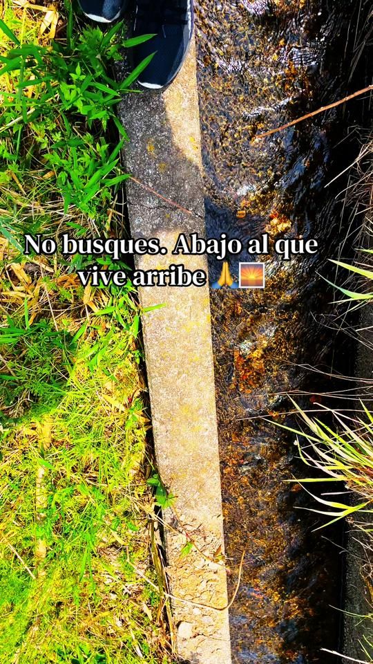 TikTok video thumbnail by peredagomez30