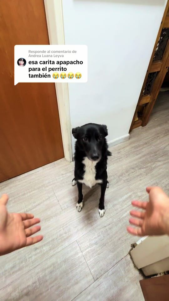 TikTok video thumbnail by cleversafo