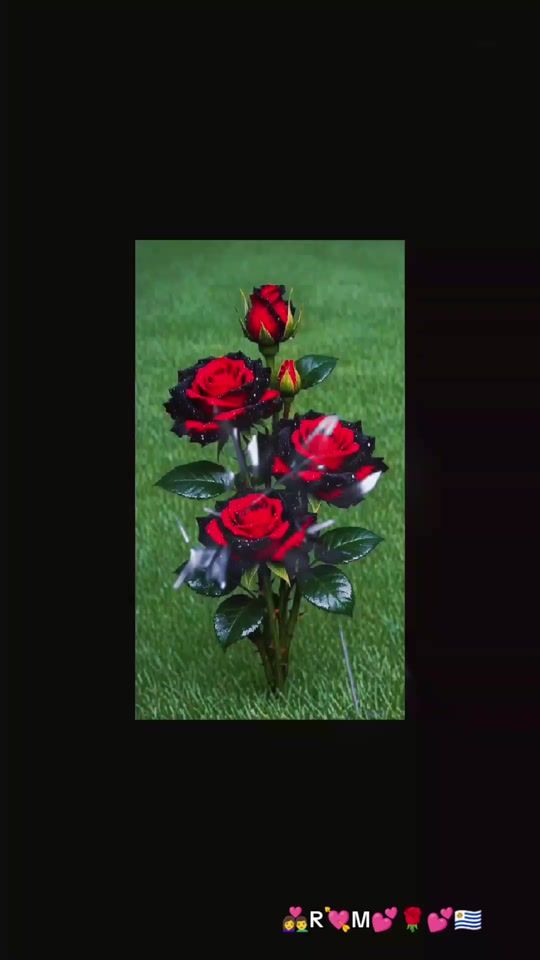 TikTok video thumbnail by rubengonzalez882