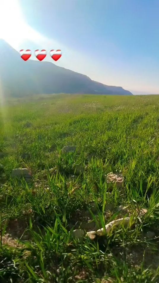 TikTok video thumbnail by user1310349500621