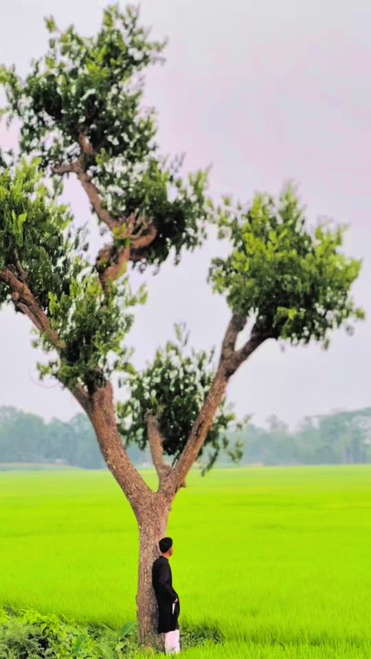 TikTok video thumbnail by rahat_munshi2