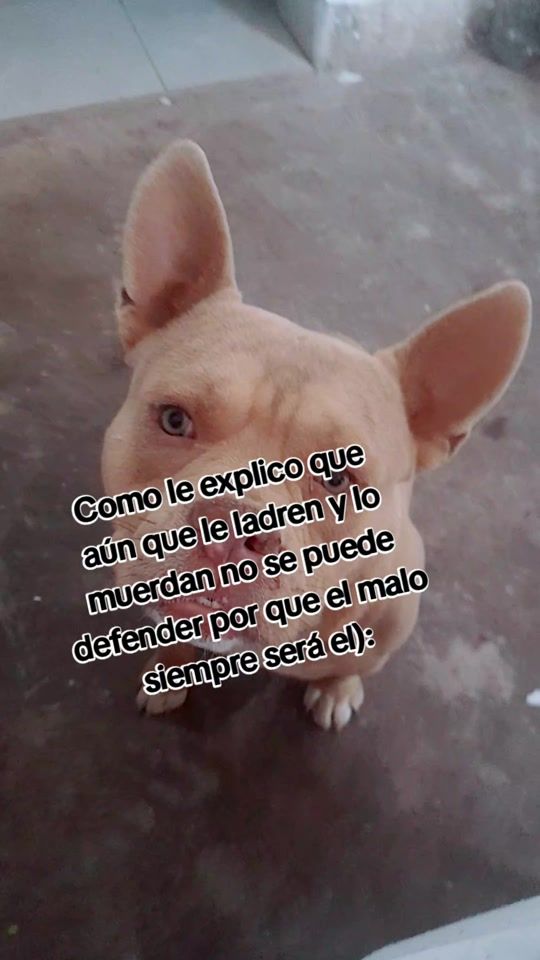 TikTok video thumbnail by 12.mirguzman