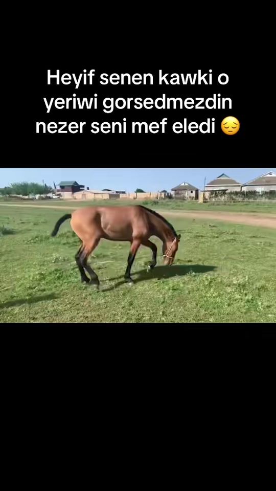 TikTok video thumbnail by yorgaatlar1