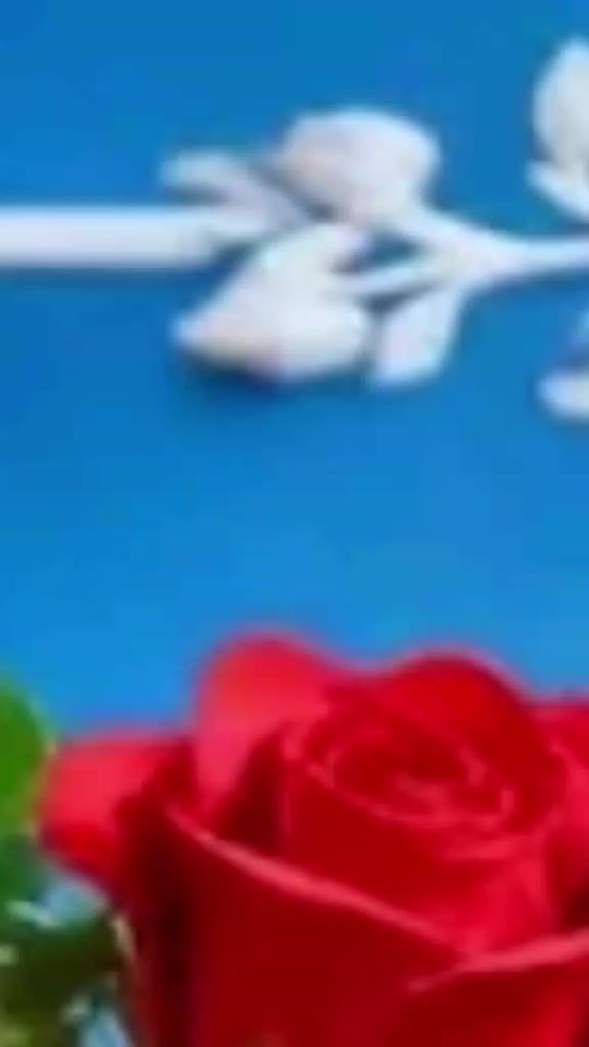 TikTok video thumbnail by user6602351529030