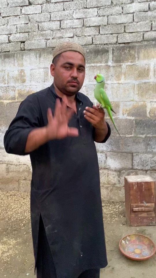 TikTok video thumbnail by waqaskata