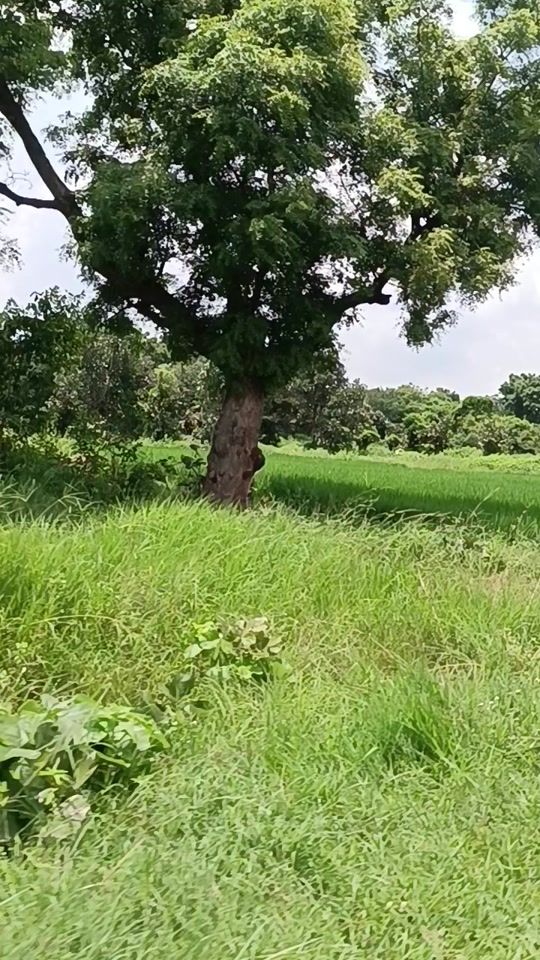 TikTok video thumbnail by shaikwaseem604
