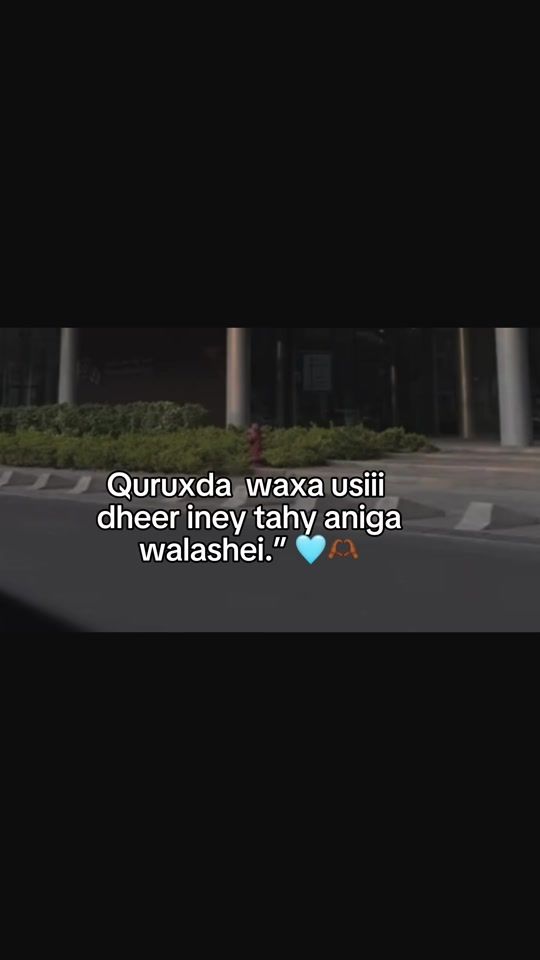 TikTok video thumbnail by _bil4al