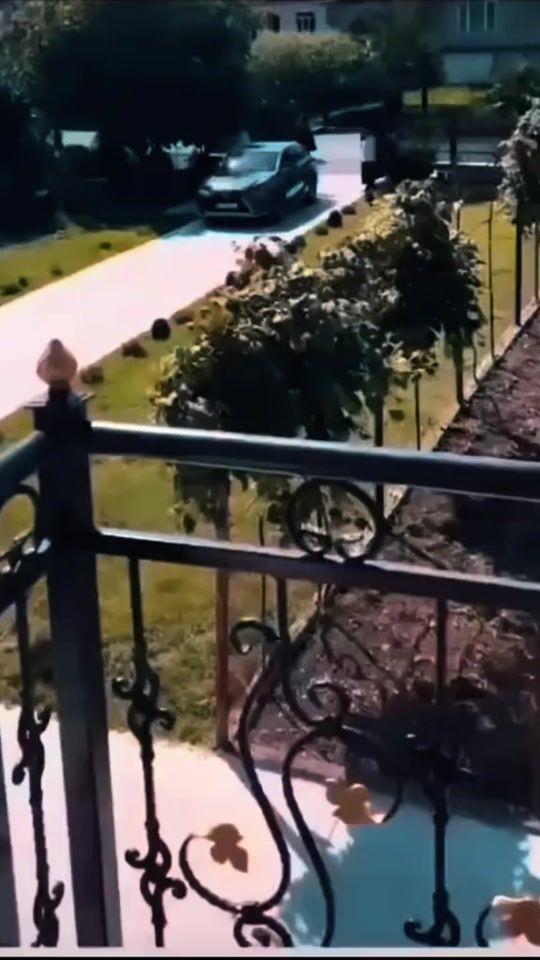 TikTok video thumbnail by toddu00
