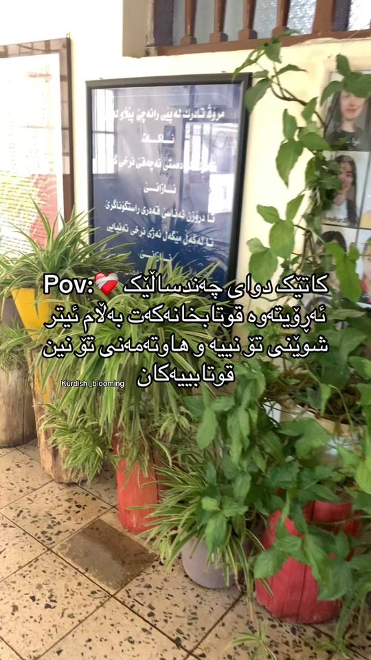 TikTok video thumbnail by kurdish_blooming