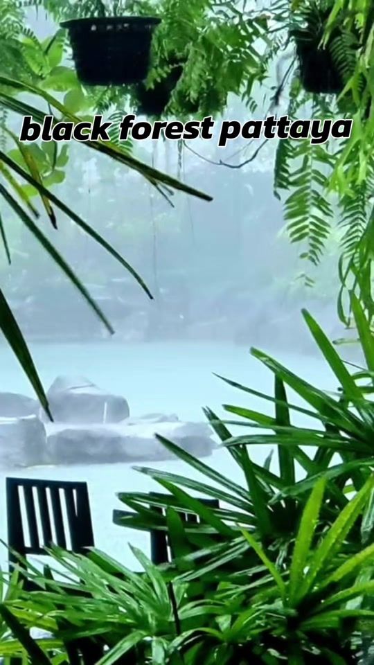 TikTok video thumbnail by blackforestpattaya6515